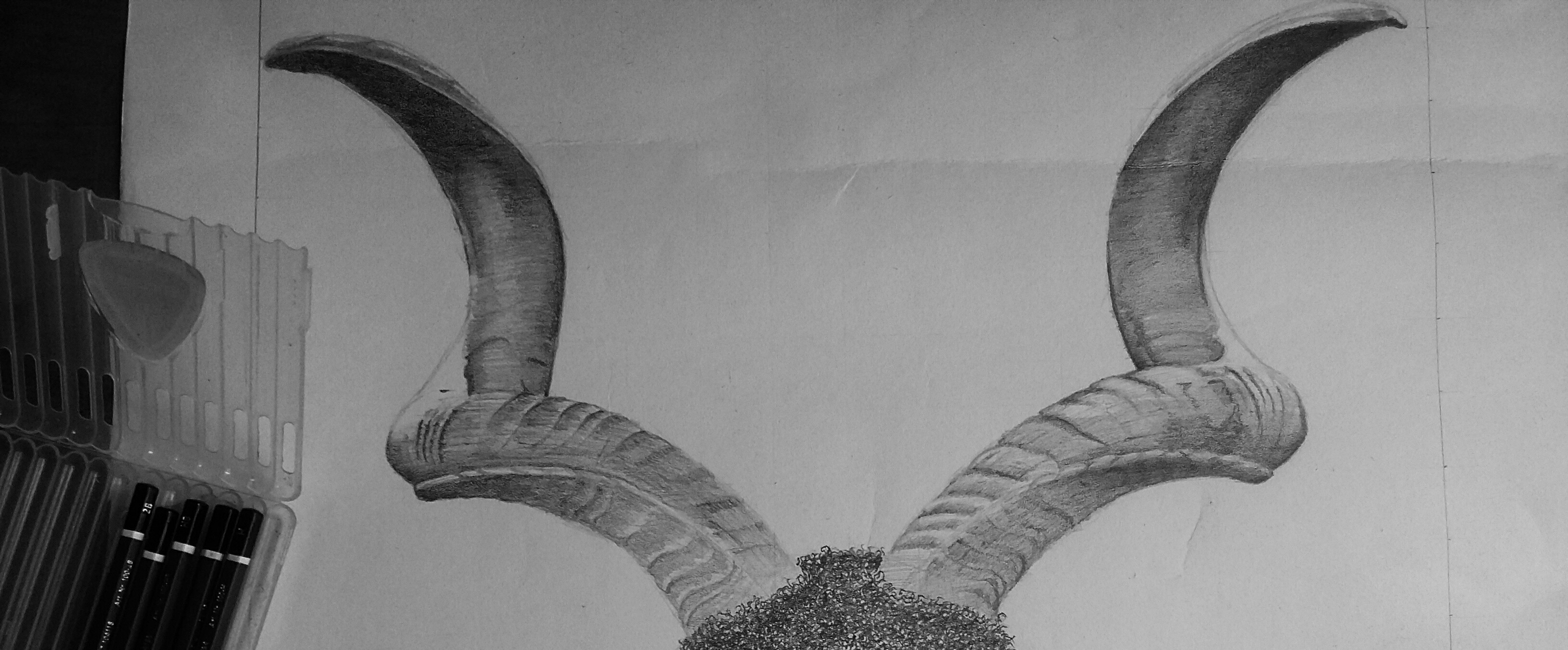 This is an Art work. A sketch of a horn by Dick David