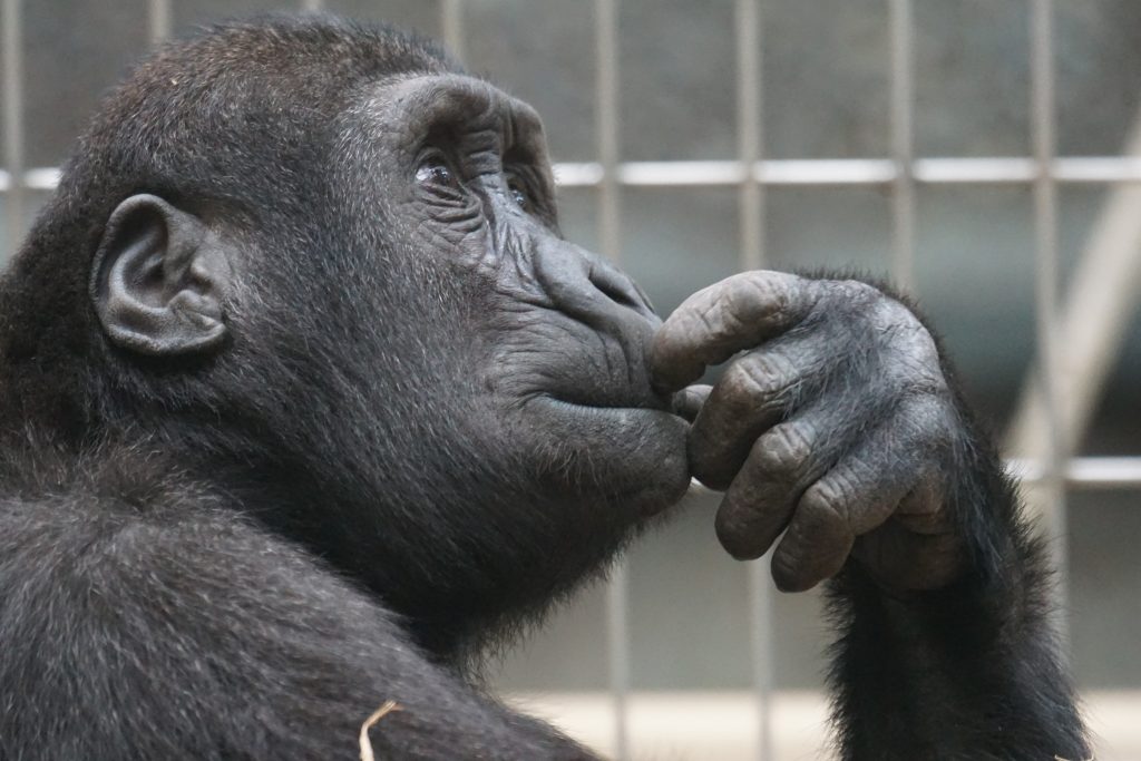 Thinking about something