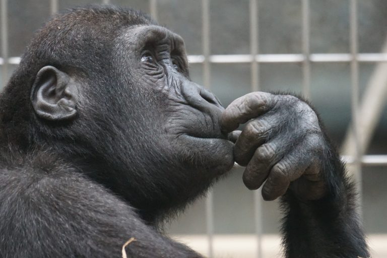 HOW TO PREDICT YOUR FUTURE 1 Thinking about something