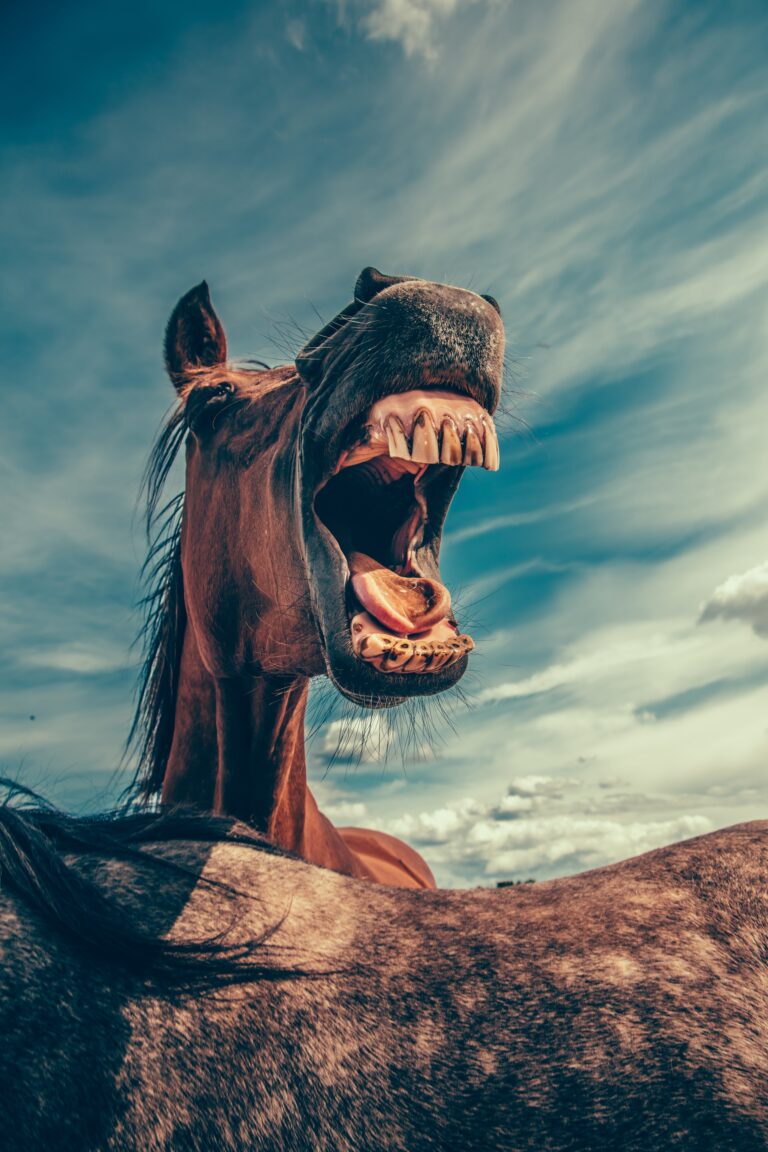 how laughter can change your world