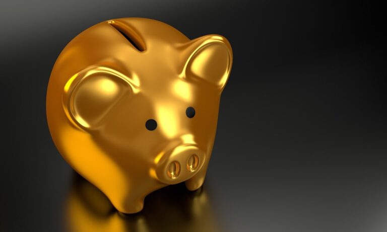 22 LESSONS ABOUT MONEY FOR 20 YEARS OLDS - Why You Must Not Chase Money 1 piggy bank, money, finance