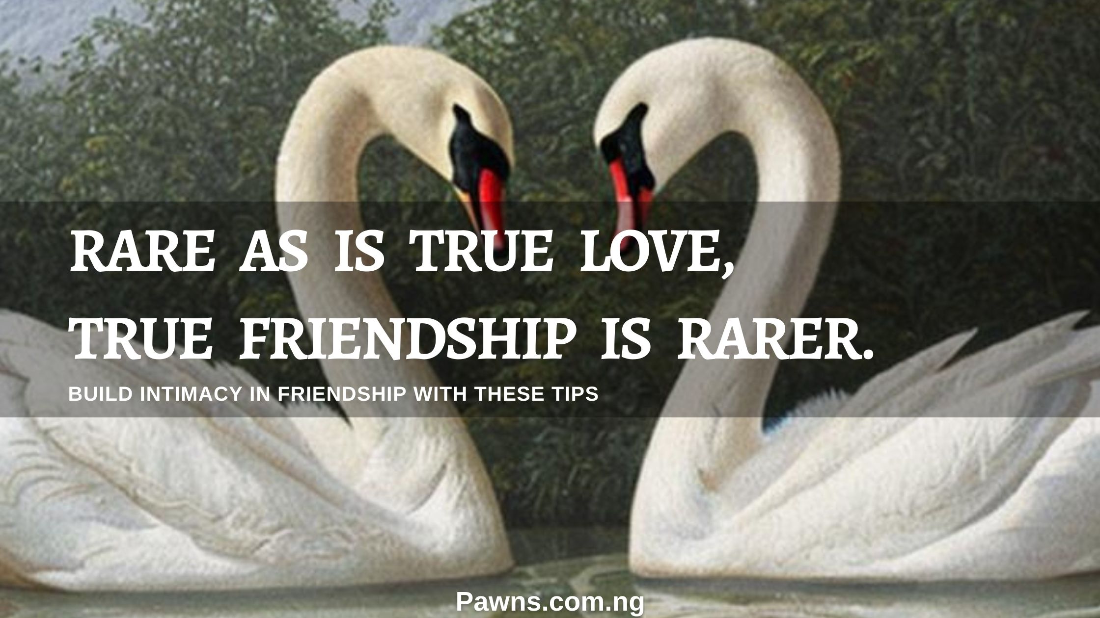 Rare as is true love, true friendship is rarer Build Intimacy In Friendship With These 10 Tips