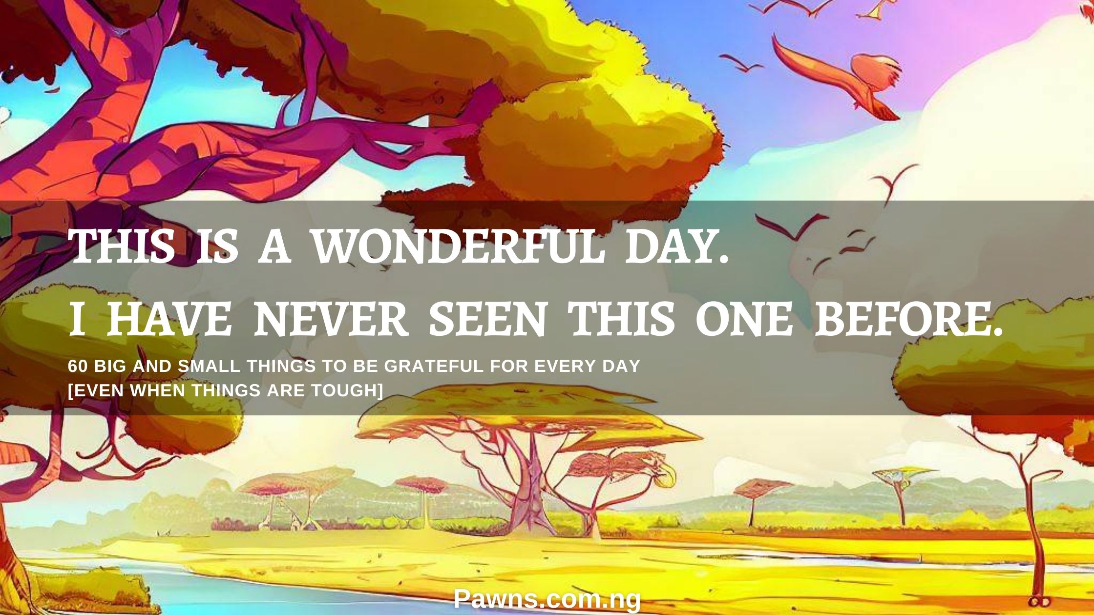 THIS IS A WONDERFUL DAY. I HAVE NEVER SEEN THIS ONE BEFORE. 60 BIG AND SMALL THINGS TO BE GRATEFUL FOR EVERY DAY [EVEN WHEN THINGS ARE TOUGH]