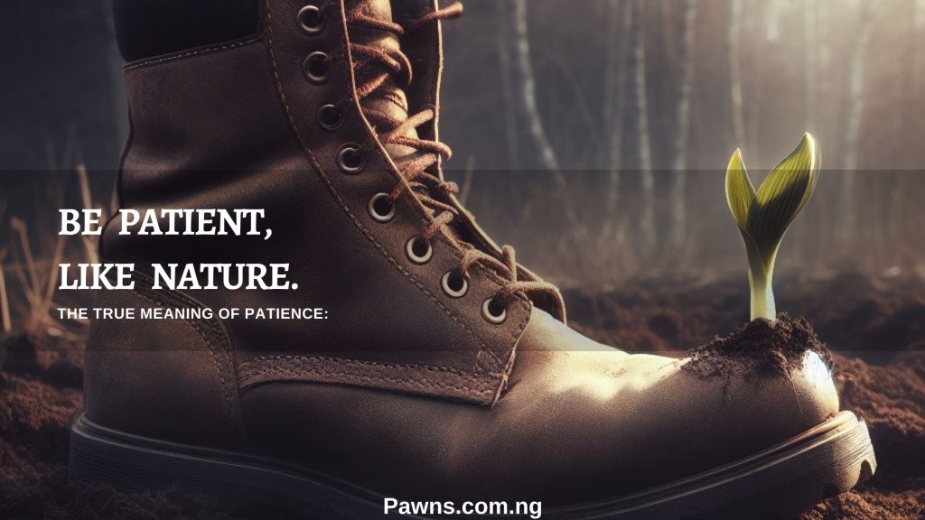The True Meaning Of Patience » Pawns Grow Up Level Up Step Up