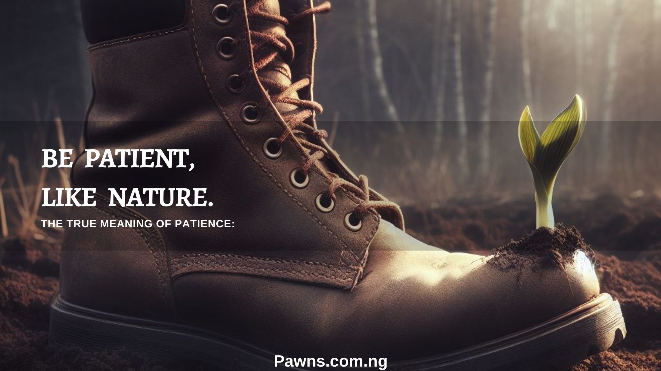 Be patient like nature The True Meaning of Patience