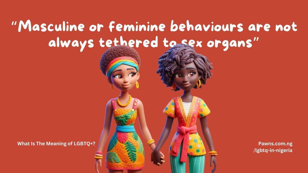 Masculine or feminine behaviours are not always tethered to sex organs What Is The Meaning of LGBTQ+