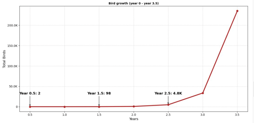 The Compounding Effect: How To Ensure Your Tiny Efforts Lead To Massive Success 2