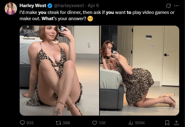 Twitter post by verified user Harley West (@harleyxwest) on Apr 6 with caption: "I'd make you steak for dinner, then ask if you want to play video games or make out. What's your answer? 😉". The image is a two-panel photo showing Harley West wearing a leopard-print low-cut dress and heels, posing with a phone camera. The post has 935 comments, 386 retweets, 13K likes, and 555K views.
